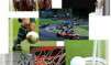 William Hill, Bet365 o Eurobet: qual è il miglior operatore?